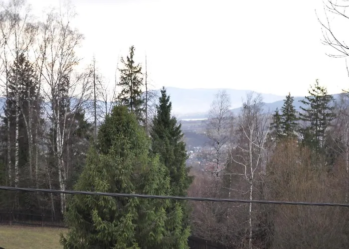 Chalet U Kazika W Gorach *